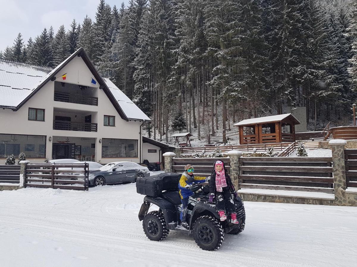 Perla Padurii Valea Mare (Bistrita-Nasaud) Exterior foto