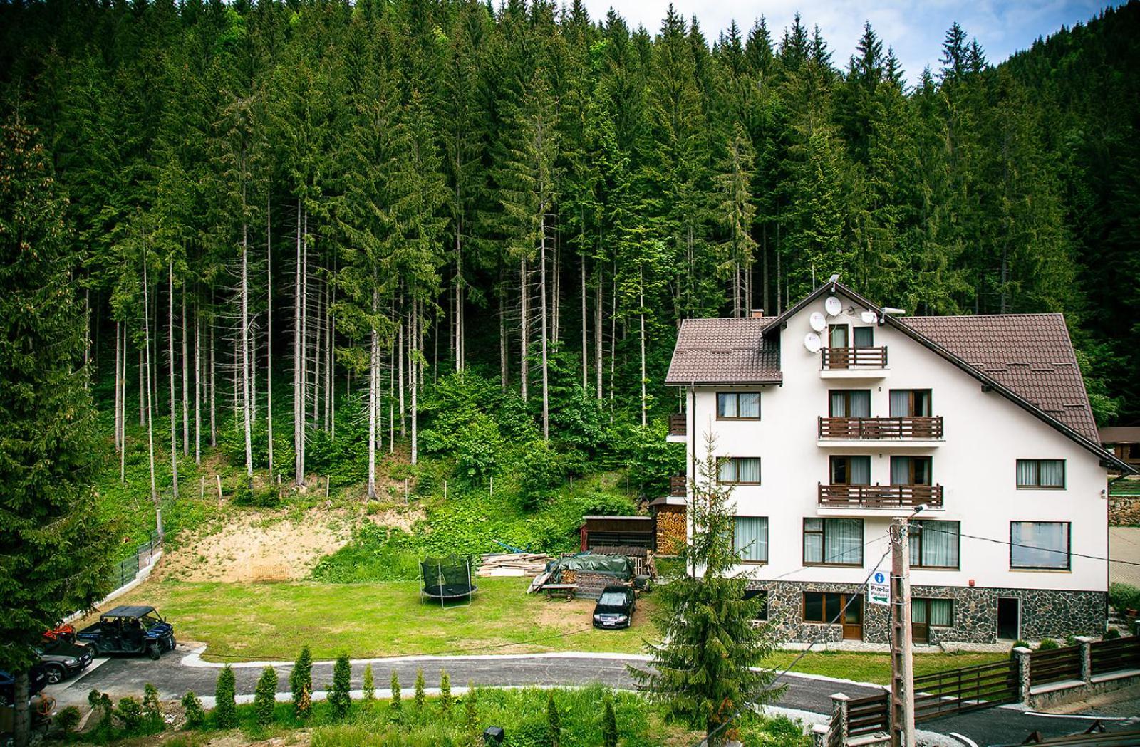 Perla Padurii Valea Mare (Bistrita-Nasaud) Exterior foto