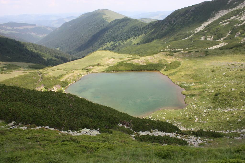 Perla Padurii Valea Mare (Bistrita-Nasaud) Exterior foto