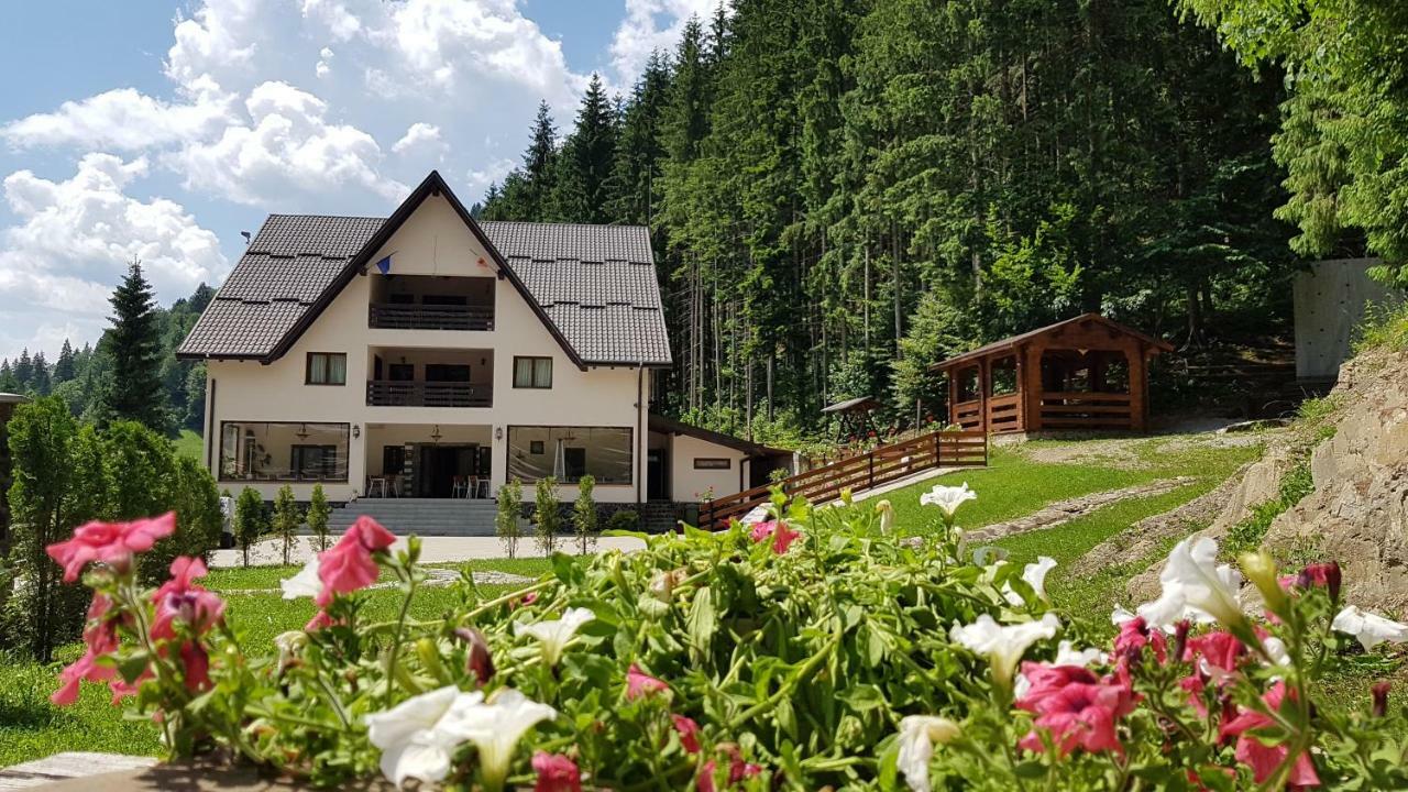 Perla Padurii Valea Mare (Bistrita-Nasaud) Exterior foto